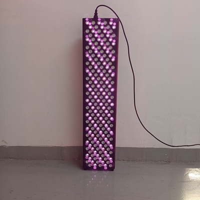 주문 1000W 적광 치료 기계 여드름 치료 7 스펙트럼 적외선 치료 장치 온라인 제품