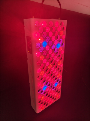 주문 가정용 8 파장 전체 몸 빨간 빛 치료 패널 600w 온라인 제품