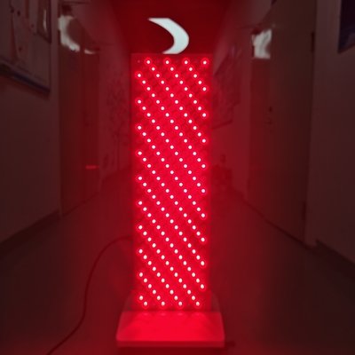 주문 전체 몸 660 850nm 적외선 광 치료 기계 LED 얼굴 광 치료 장치 온라인 제품