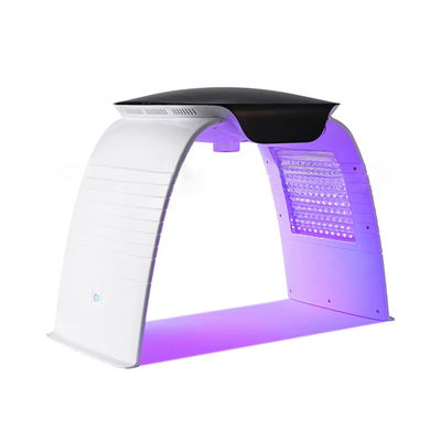주문 Portable 7 Colors Led Facial Machine Pdt Led Light Therapy Nano Water Spray Phototherapy Beauty Machine 온라인 제품
