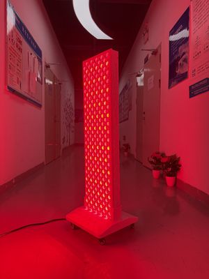 주문 High Power 2000W Red + Near Infrared Light Panel – OEM Factory with Pulse Mode & Brightness Control 온라인 제품