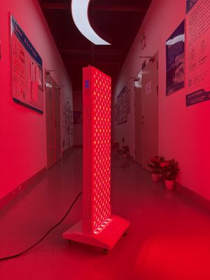 주문 OEM Factory Supply 2000W Red Light Therapy Panel – 630/660/810/830/850nm Wavelength Options 온라인 제품