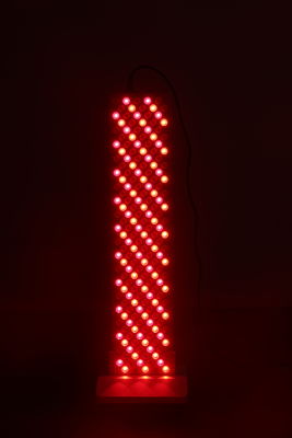 주문 1000w 피부 관리용 LED 광선 요법 램프, 얼굴 및 신체 순환 LED 광선 요법 기기 온라인 제품