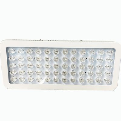 주문 300W 850nm 적신호와 무릎 통증에 대한 근 적외선 빛요법 온라인 제품