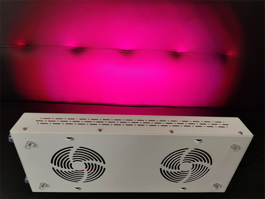 600W 몸 관리 적색 빛 치료 장치 적색 니르 스펙트럼