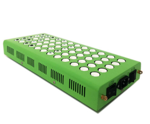 무릎 통증에 대한 300w 660nm 850nm 반대 나이든 적외선등 요법