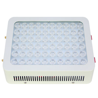 벽은 300W Diy 적신호 요법 패널 850 나노미터를 탑재했습니다