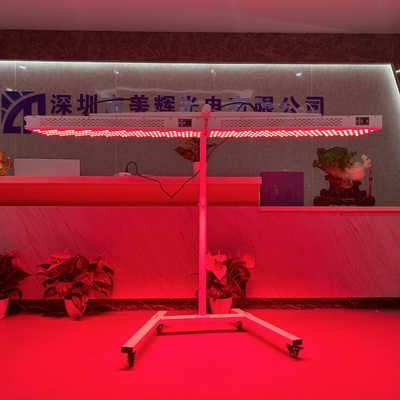 이름