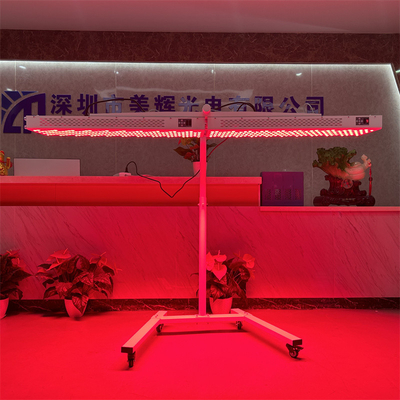 이름