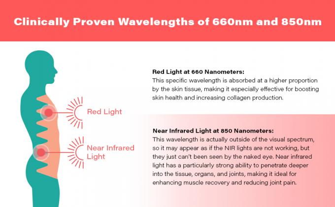 적외선 빛요법 660nm 850nm 심부 조직 피부 건강 관절통 조로프프 근처에 있는 적신호