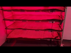 맞춤형 660nm 850nm 레드 라이트 치료 120pcs LED 체중 감량 장치