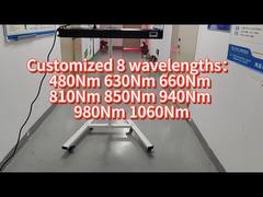 660nm 850nm 1000w 전신 LED 광선 요법 상업용 가정용